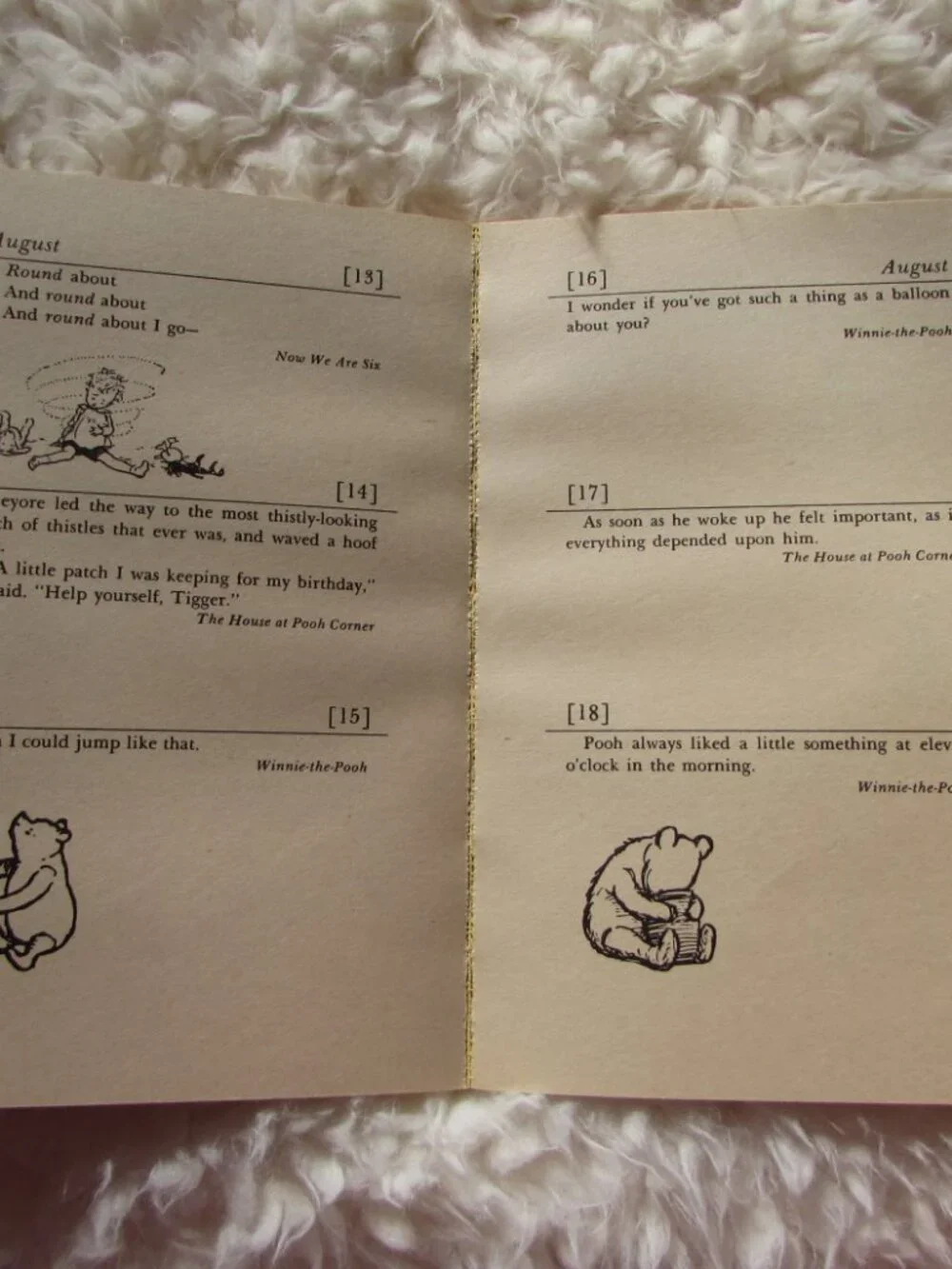 Pooh's Birthday Book By A A Milne Illustrated by Ernest H Shepard 1976 PB Winnie